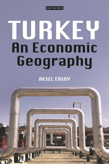 Turkey : An Economic Geography, PDF eBook