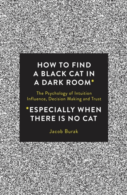 How to Find a Black Cat in a Dark Room, EPUB eBook