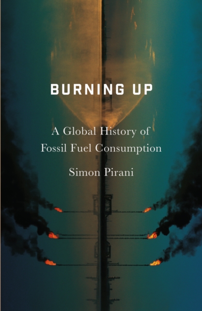 Burning Up : A Global History of Fossil Fuel Consumption, PDF eBook