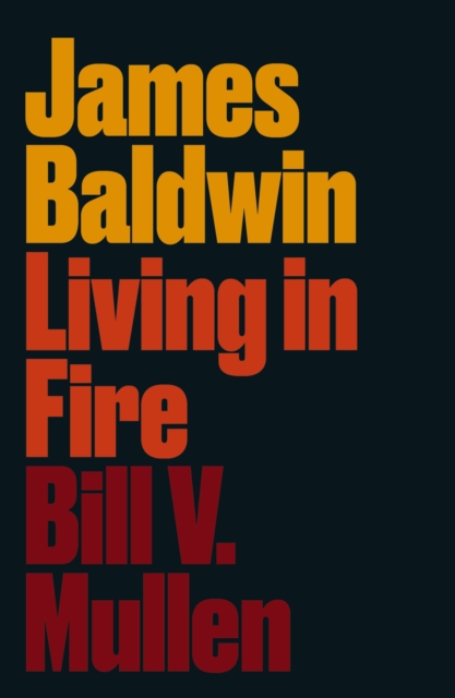 James Baldwin : Living in Fire, EPUB eBook