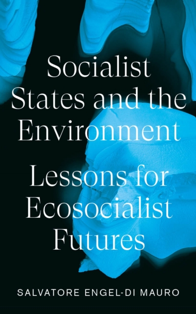 Socialist States and the Environment : Lessons for Eco-Socialist Futures, PDF eBook