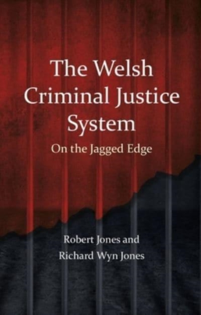 The Welsh Criminal Justice System : On the Jagged Edge, Paperback / softback Book