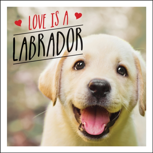 Love is a Labrador : A Lab-Tastic Celebration of the World's Favourite Dog, Hardback Book