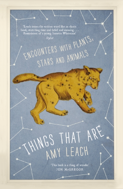 Things That Are : Encounters with Plants, Stars and Animals, Paperback / softback Book