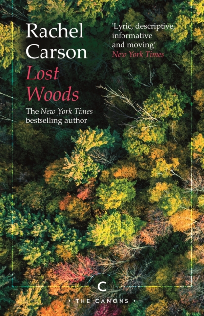 Lost Woods, Paperback / softback Book