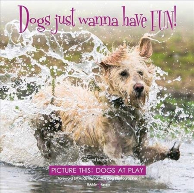Dogs just wanna have FUN! : Picture this: Dogs at Play, Hardback Book