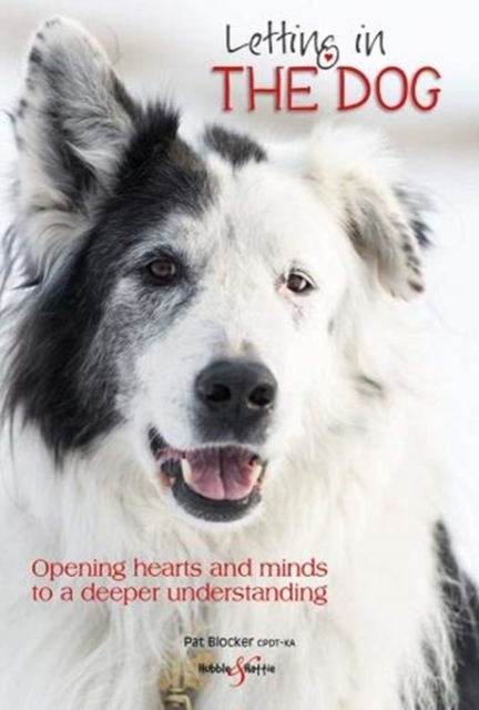 Letting in the dog : Opening hearts and minds to a deeper understanding, Paperback / softback Book