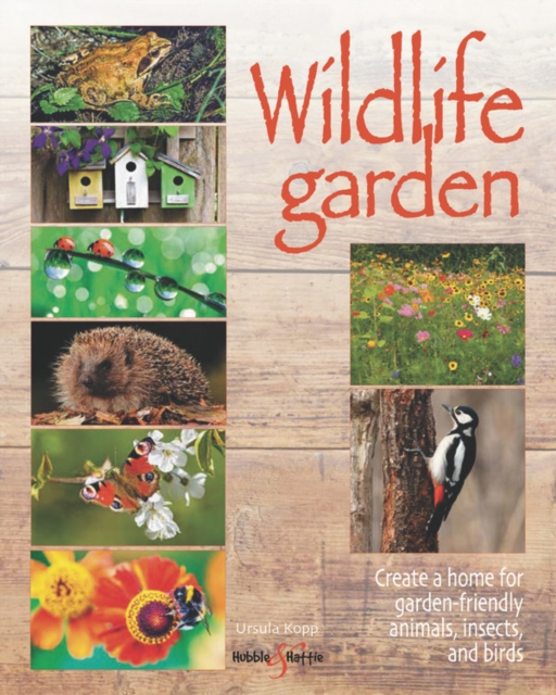 Wildlife garden : Create a home for garden-friendly animals, insects and birds, Paperback / softback Book