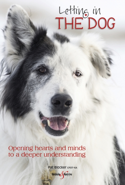 Letting in the dog : Opening hearts and minds to a deeper understanding, EPUB eBook
