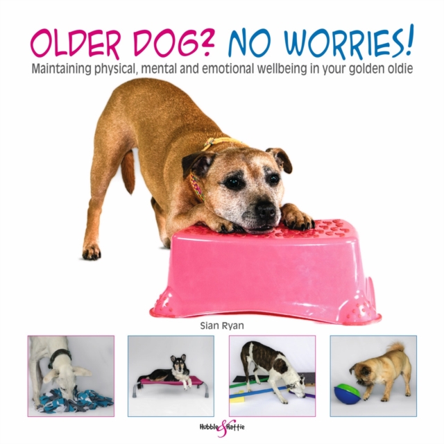 Older dog? No worries! : Maintaining physical, mental and emotional wellbeing in your golden oldie, EPUB eBook