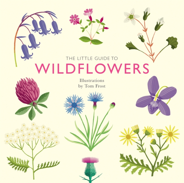 The Little Guide to Wildflowers, Hardback Book