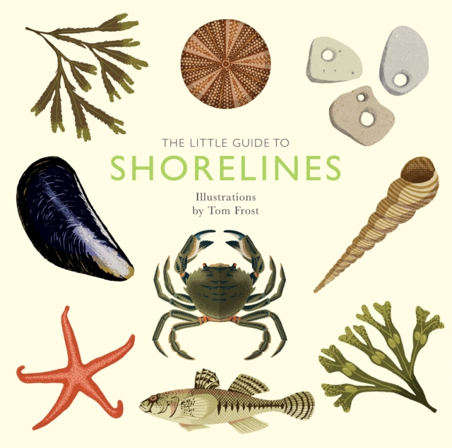 The Little Guide to Shorelines, Hardback Book