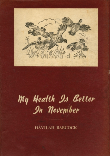 My Health is Better in November, EPUB eBook