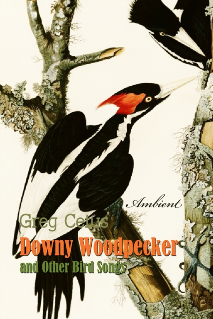Downy Woodpecker and Other Bird Songs, eAudiobook MP3 eaudioBook