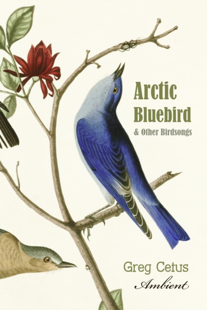 Arctic Bluebird and Other Birdsongs, eAudiobook MP3 eaudioBook