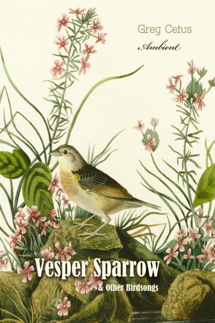 Vesper Sparrow and Other Bird Songs, eAudiobook MP3 eaudioBook