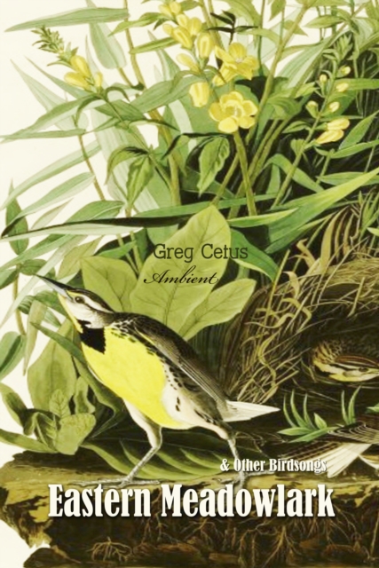 Eastern Meadowlark and Other Bird Songs, eAudiobook MP3 eaudioBook