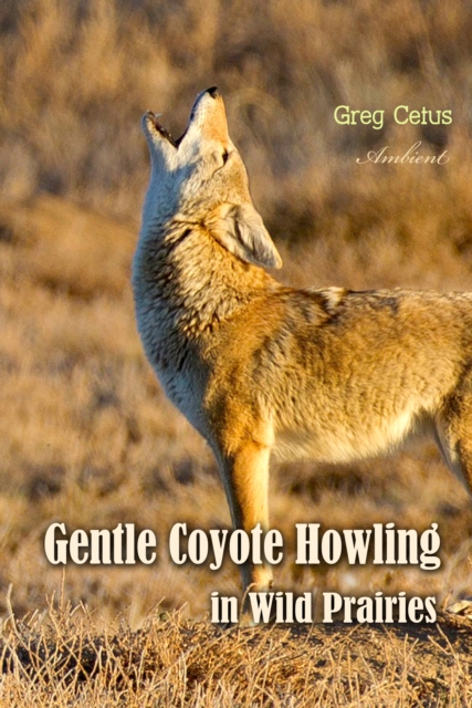 Gentle Coyote Howling in Wild Prairies, eAudiobook MP3 eaudioBook