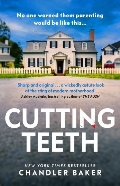 Cutting Teeth, Hardback Book