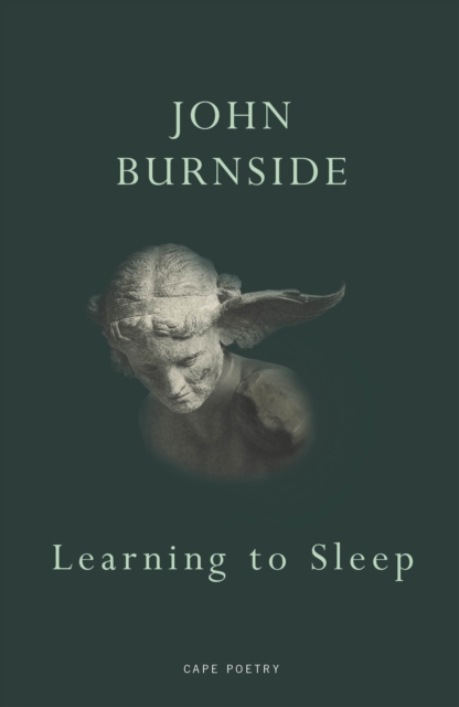 Learning to Sleep, Paperback / softback Book