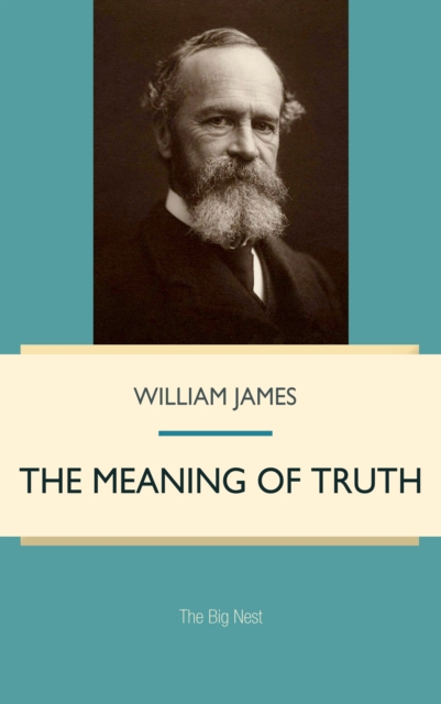 The Meaning of Truth, EPUB eBook