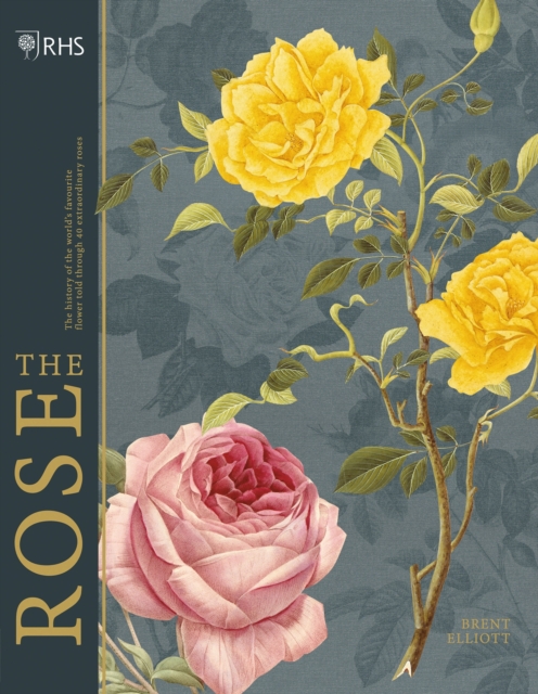 RHS The Rose : The history of the world's favourite flower in 40 roses, Hardback Book