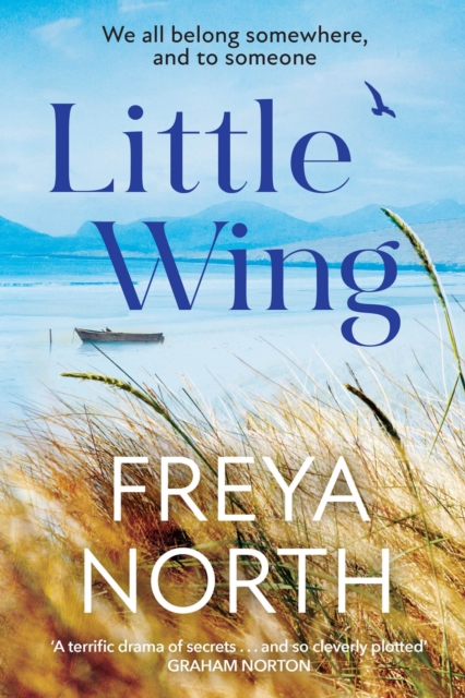 Little Wing : A beautifully written, emotional and heartwarming story, Paperback / softback Book