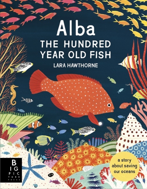 Alba the Hundred Year Old Fish, Hardback Book