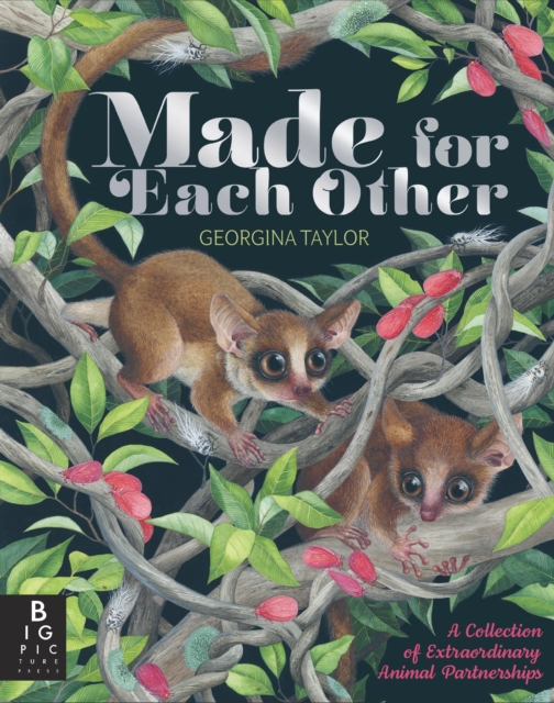 Made for Each Other, Hardback Book