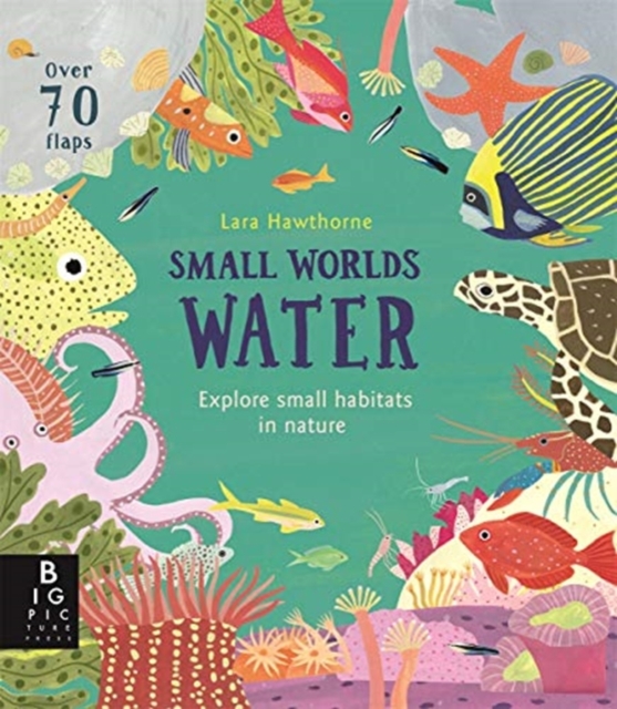 Small Worlds: Water, Board book Book