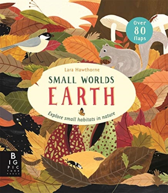 Small Worlds: Earth, Board book Book