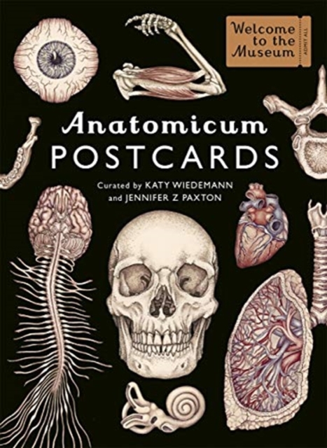 Anatomicum Postcard Box, Cards Book