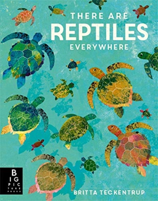 There are Reptiles Everywhere, Hardback Book