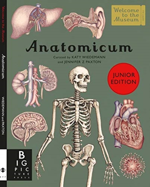Anatomicum Junior, Hardback Book
