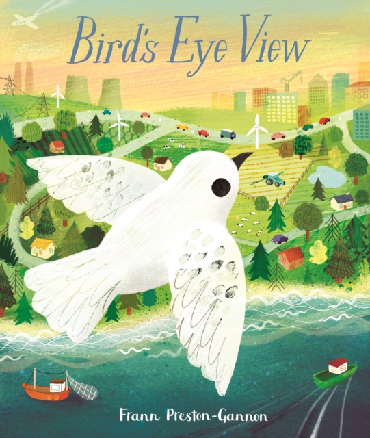 Bird's Eye View, Paperback / softback Book