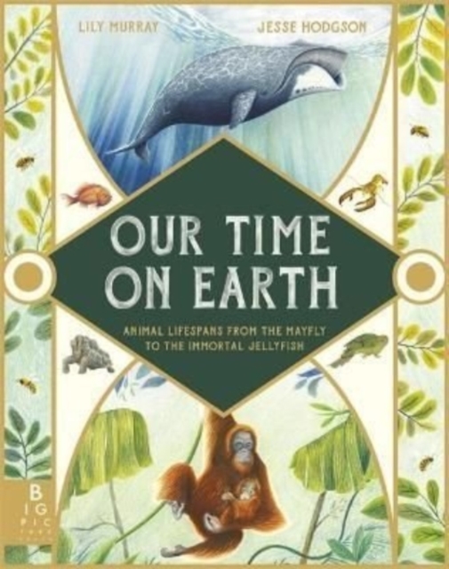 Our Time on Earth : From the Mayfly to the Immortal Jellyfish, Hardback Book