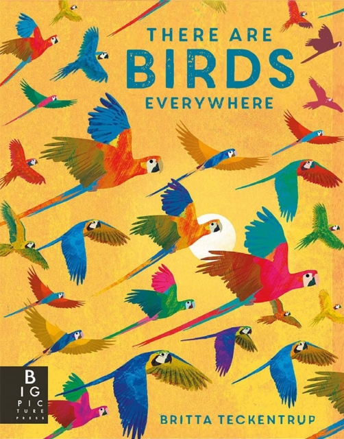 There are Birds Everywhere, Hardback Book