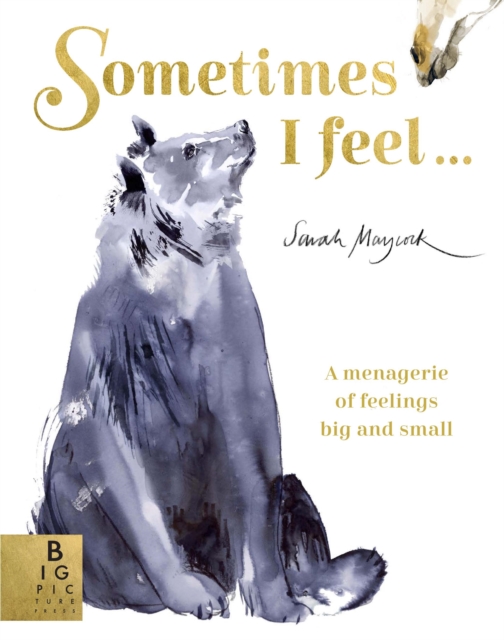 Sometimes I Feel... : A Menagerie of Feelings Big and Small, Paperback / softback Book