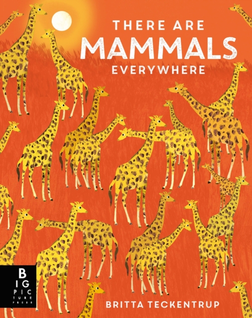 There are Mammals Everywhere, Hardback Book