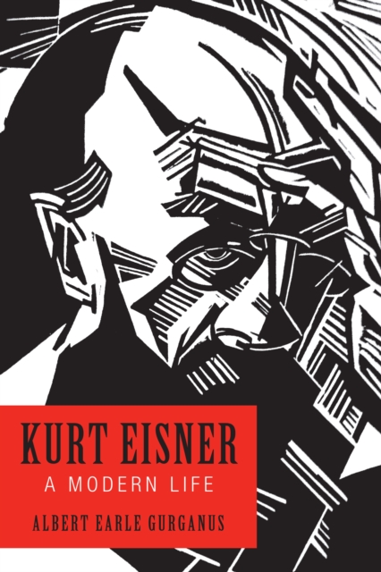 Kurt Eisner : A Modern Life, PDF eBook