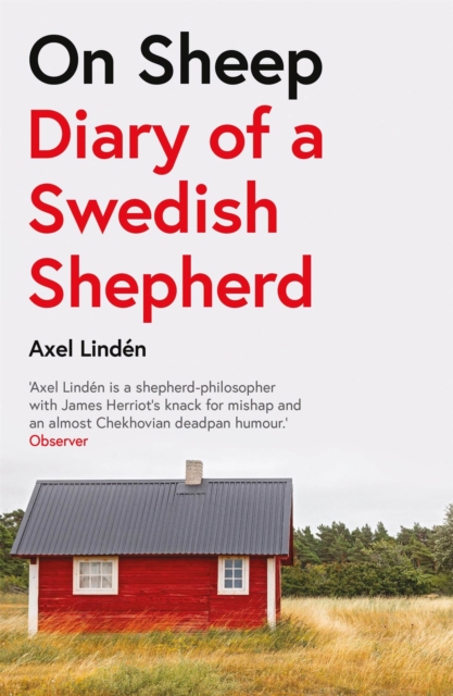 On Sheep : Diary of a Swedish Shepherd, Paperback / softback Book