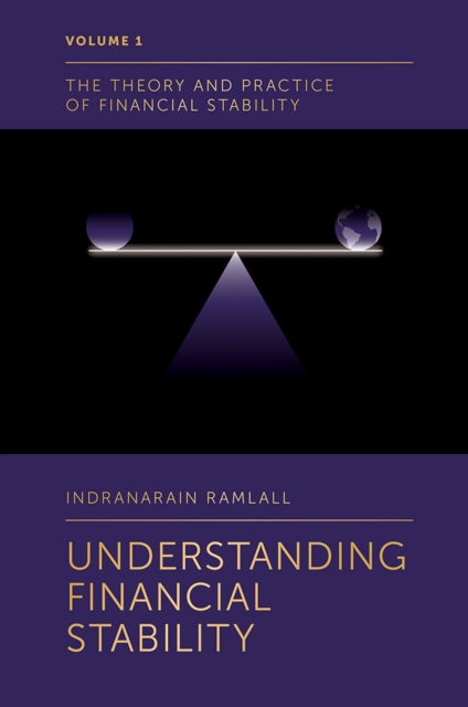 Understanding Financial Stability, PDF eBook