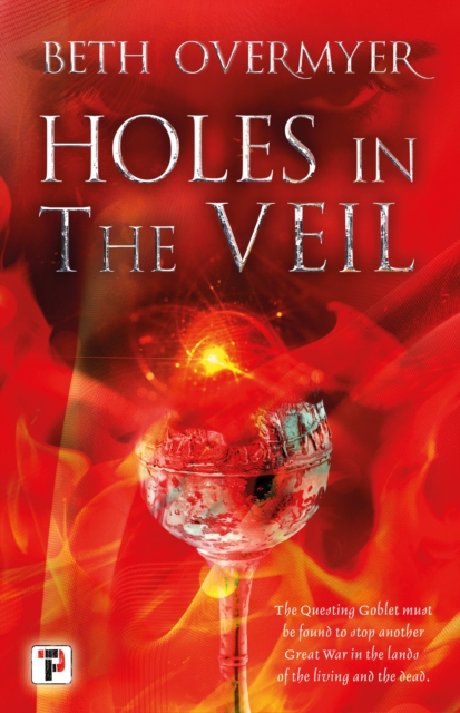 Holes in the Veil, Paperback / softback Book