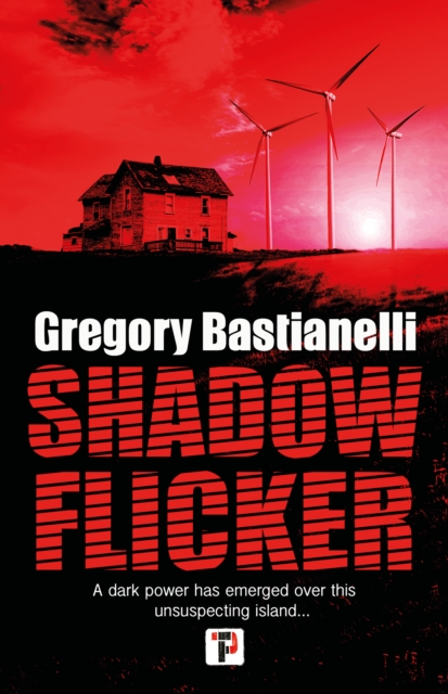 Shadow Flicker, Paperback / softback Book