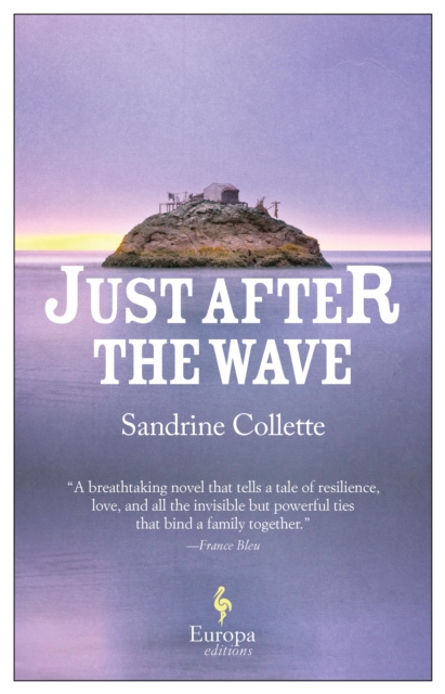 Just After the Wave, EPUB eBook