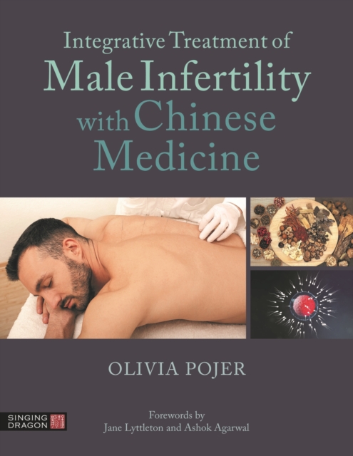 Integrative Treatment of Male Infertility with Chinese Medicine, Paperback / softback Book