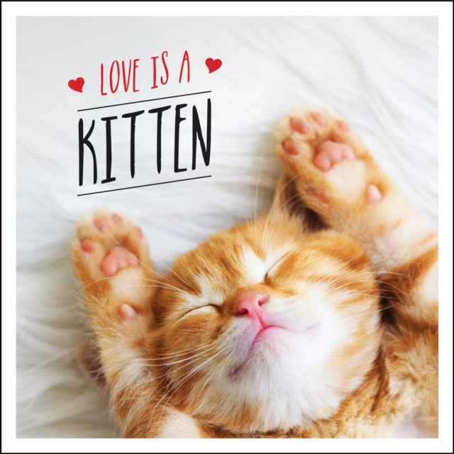 Love is a Kitten : A Cat-Tastic Celebration of the World's Cutest Kittens, EPUB eBook