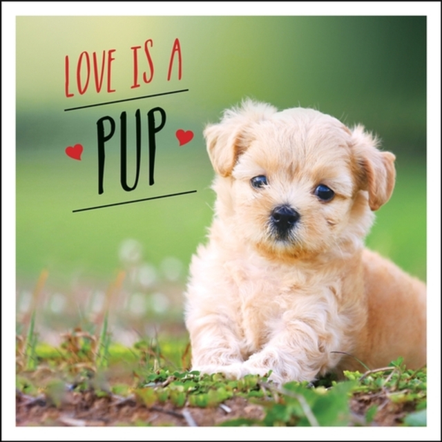 Love is a Pup : A Dog-Tastic Celebration of the World's Cutest Puppies, EPUB eBook