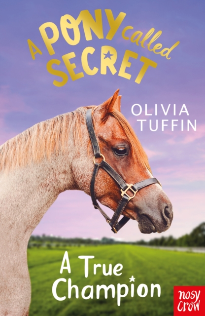 A Pony Called Secret: A True Champion, Paperback / softback Book