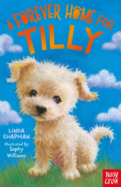 A Forever Home for Tilly, Paperback / softback Book